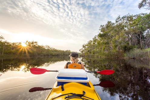 Noosa Everglades Kayak and Canoe Tours